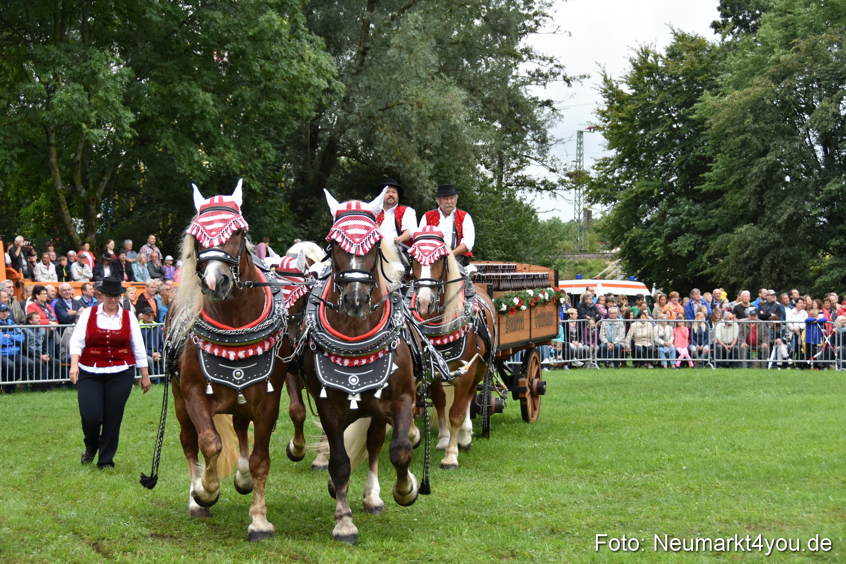 JURA Volksfest Pferdeshow 190819 0060