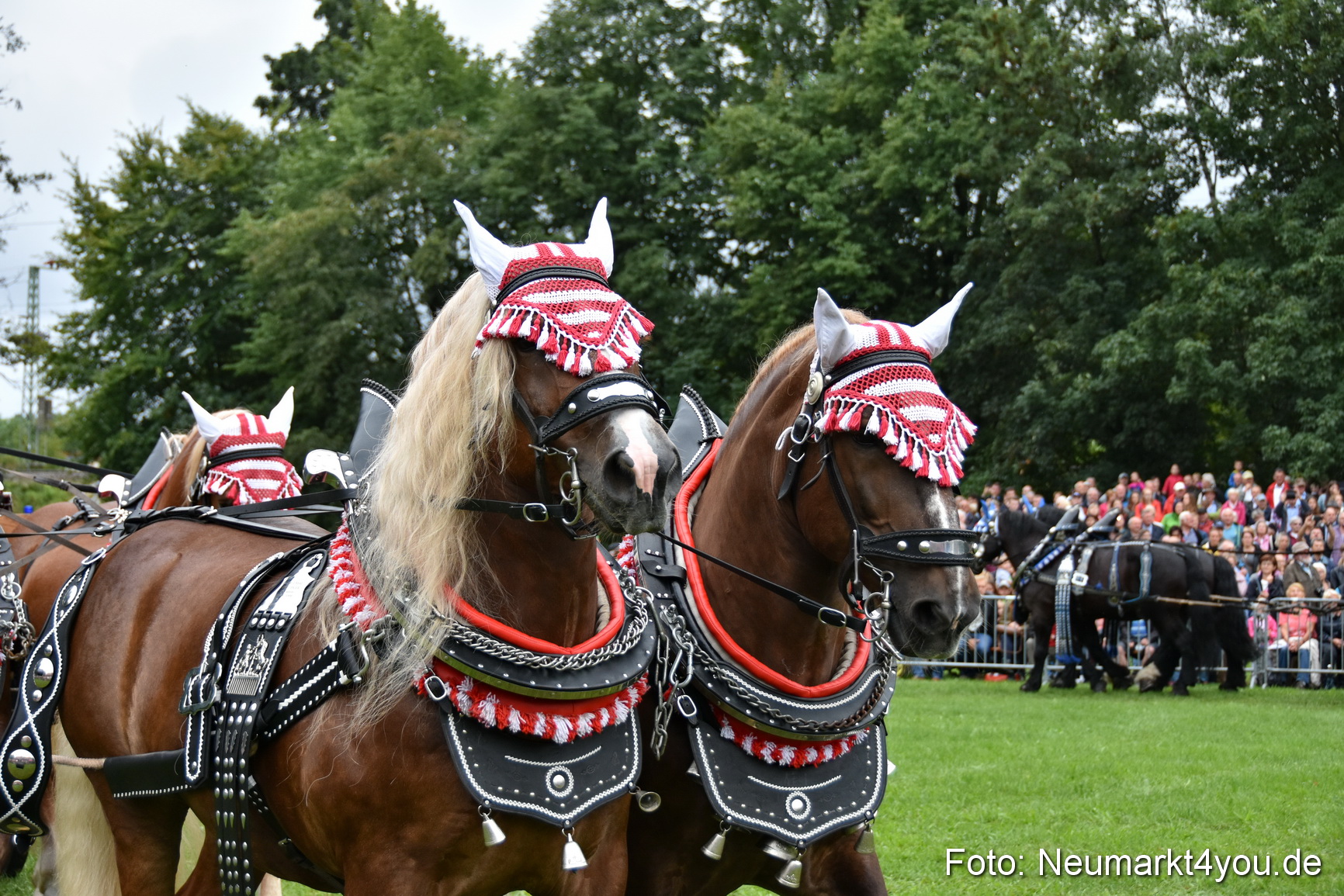 JURA Volksfest Pferdeshow 190819 0061