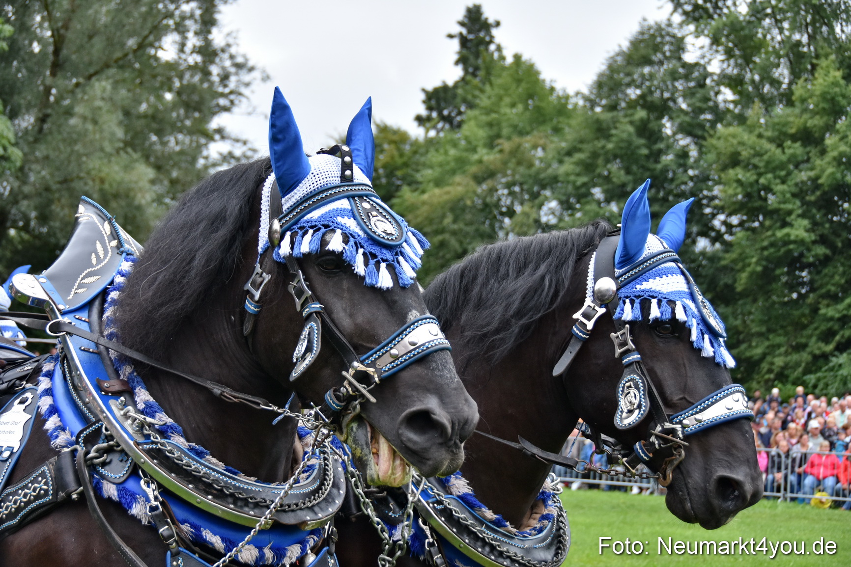 JURA Volksfest Pferdeshow 190819 0068