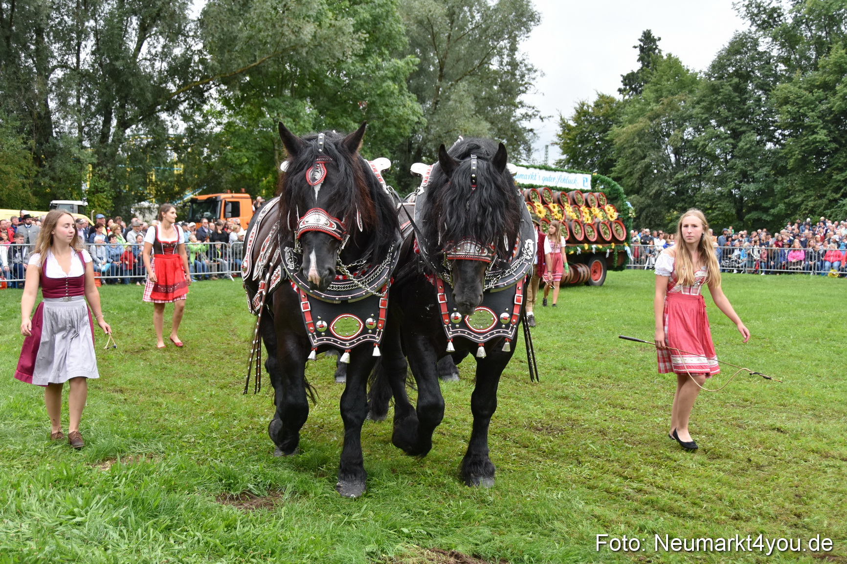 JURA Volksfest Pferdeshow 190819 0072