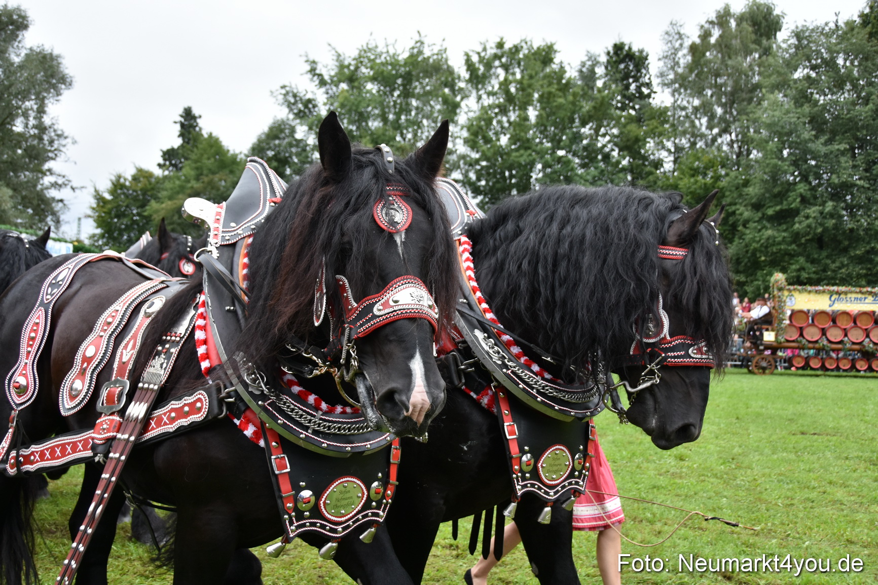 JURA Volksfest Pferdeshow 190819 0073