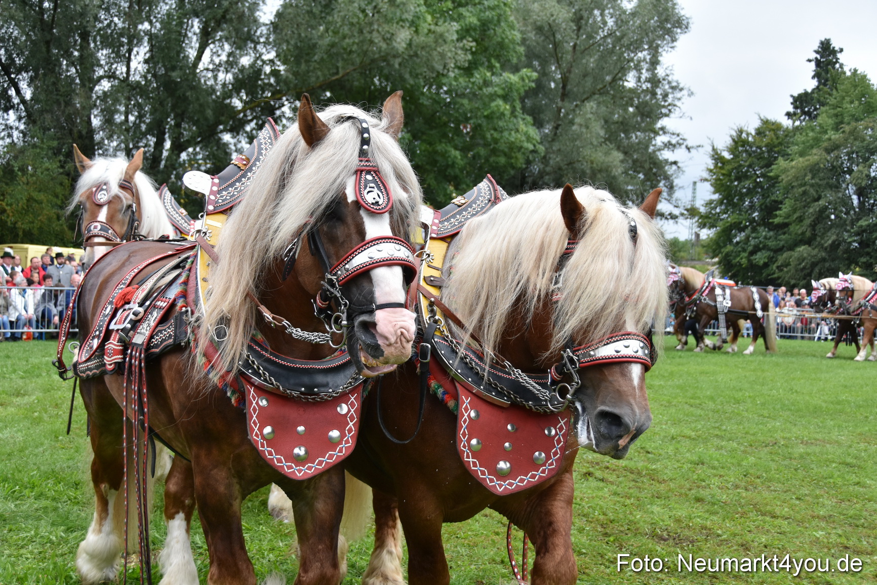JURA Volksfest Pferdeshow 190819 0075