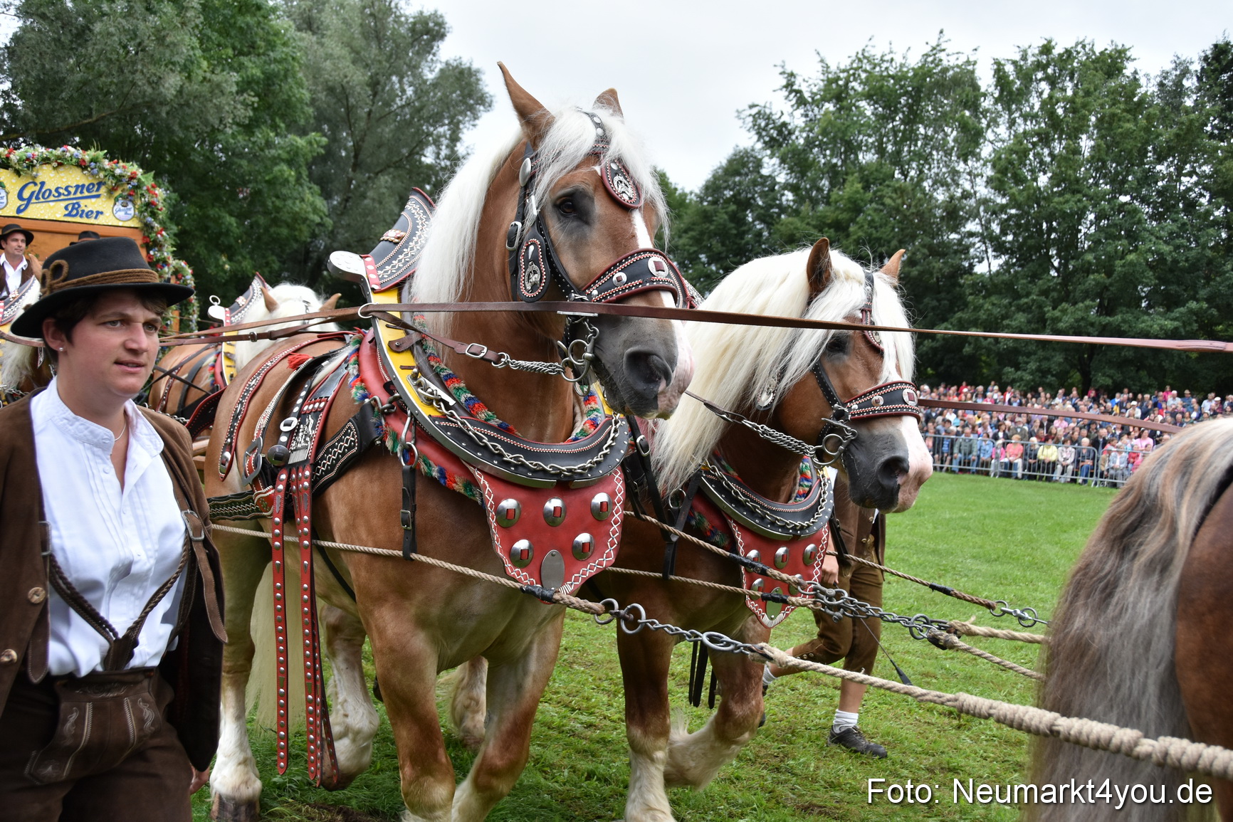 JURA Volksfest Pferdeshow 190819 0076