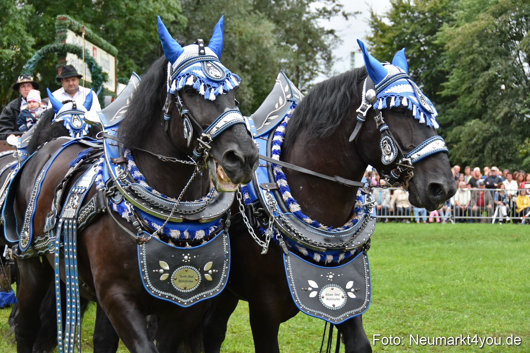 JURA Volksfest Pferdeshow 190819 0079