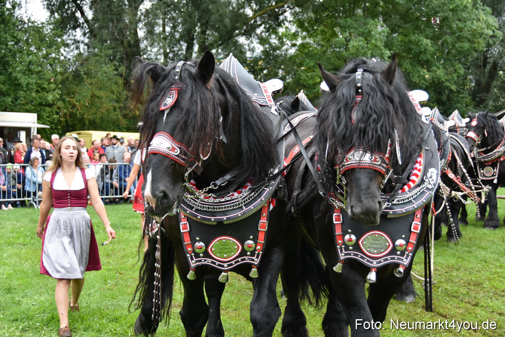 JURA Volksfest Pferdeshow 190819 0080