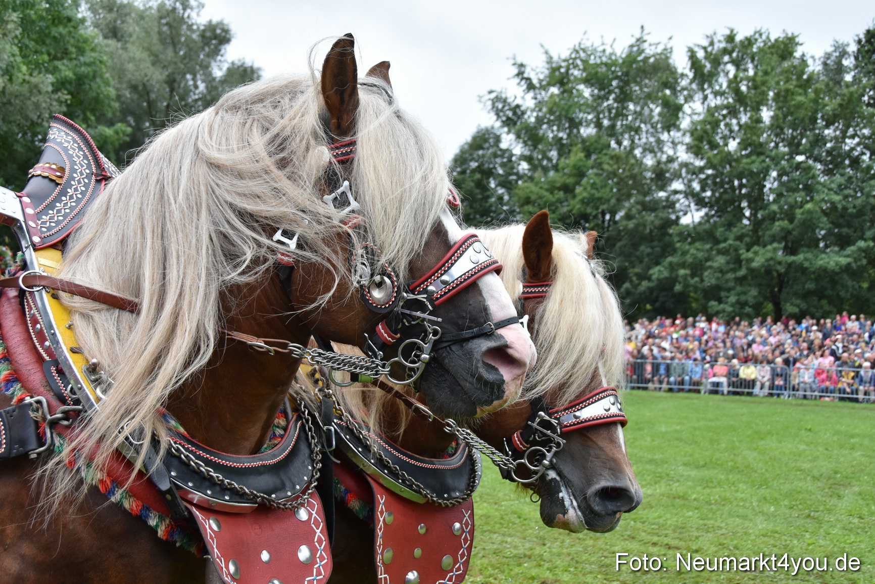 JURA Volksfest Pferdeshow 190819 0082