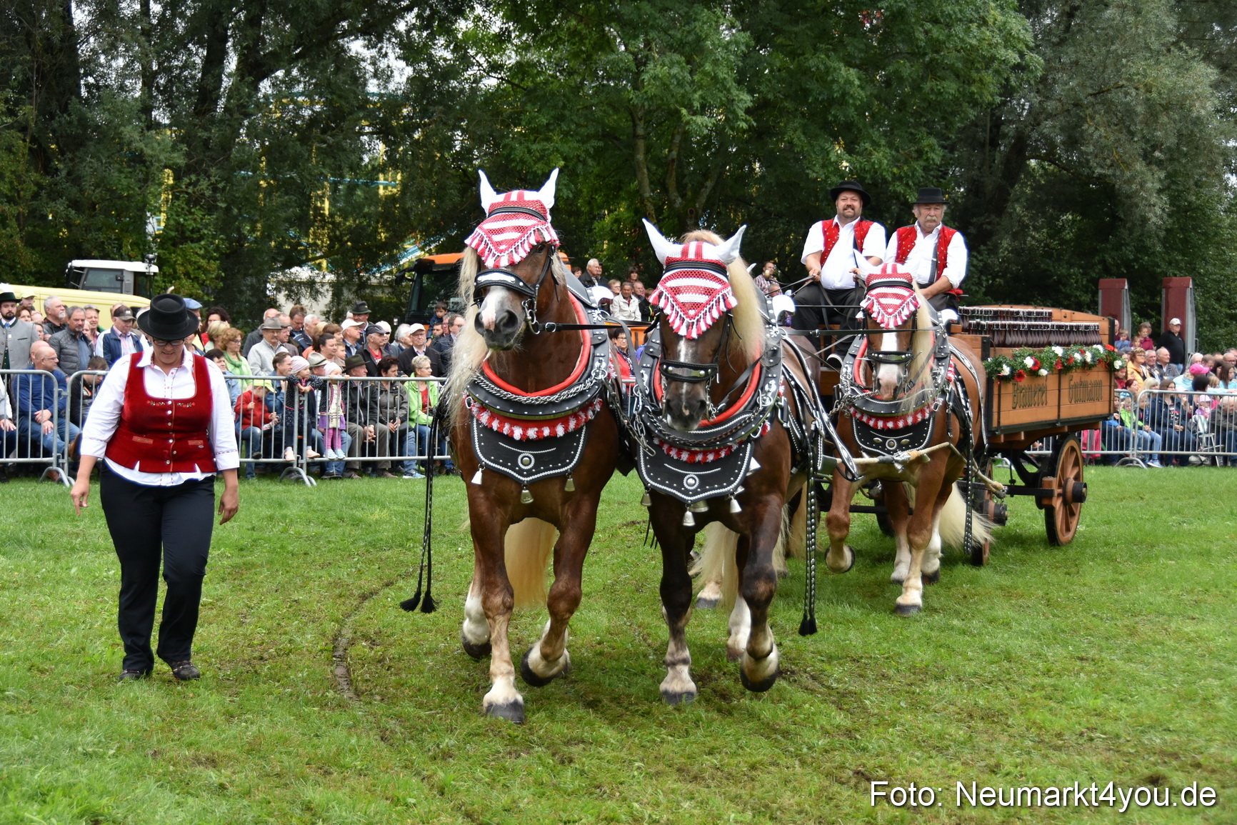 JURA Volksfest Pferdeshow 190819 0083
