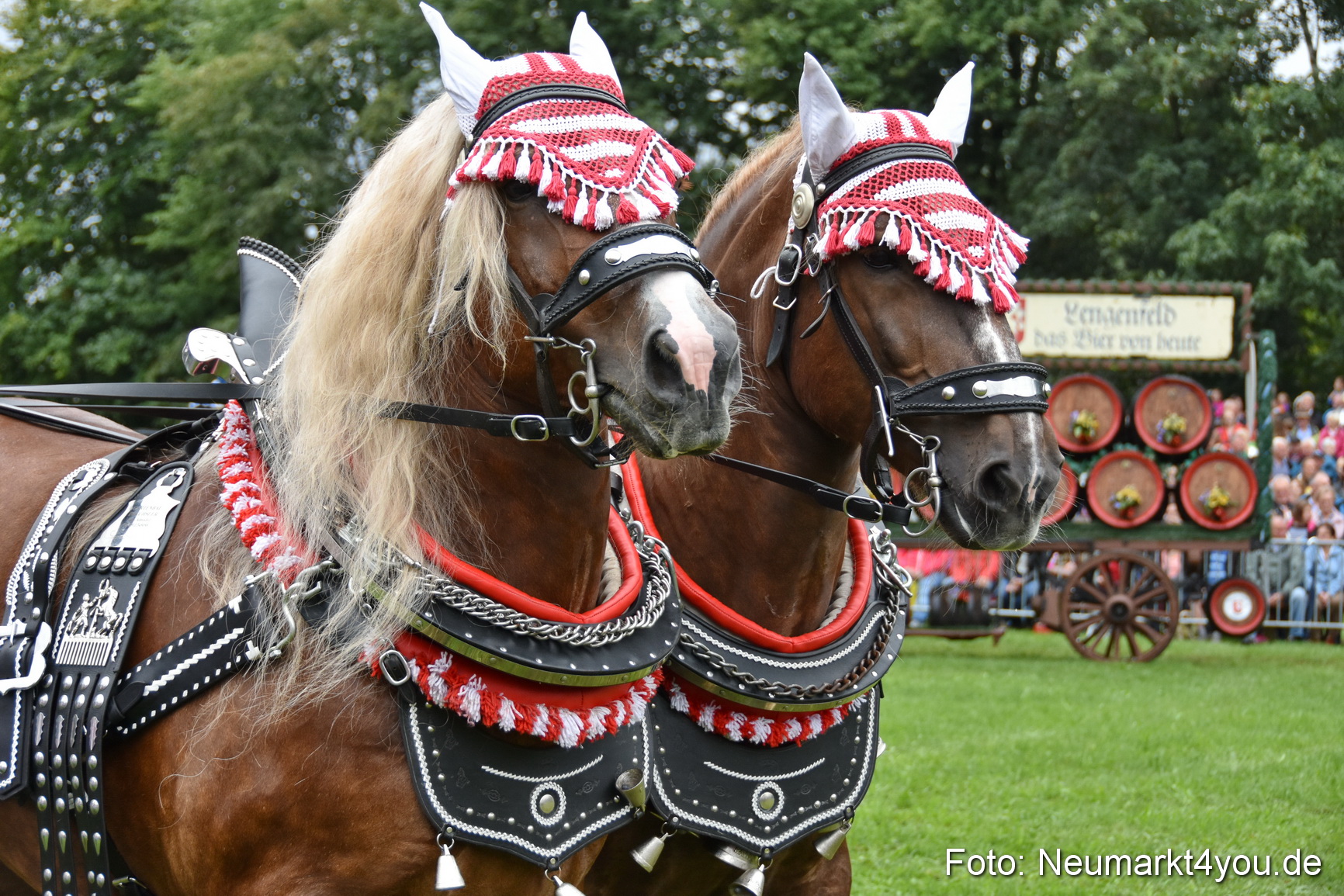 JURA Volksfest Pferdeshow 190819 0084