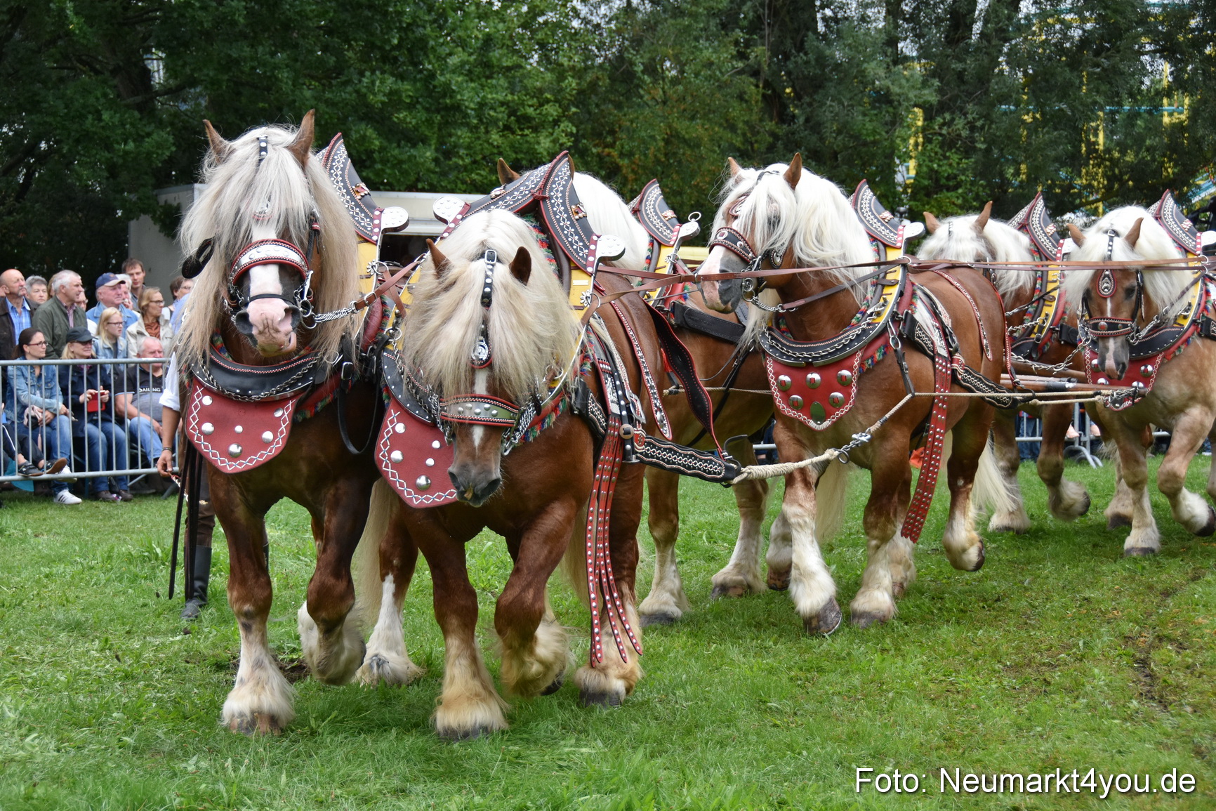 JURA Volksfest Pferdeshow 190819 0086
