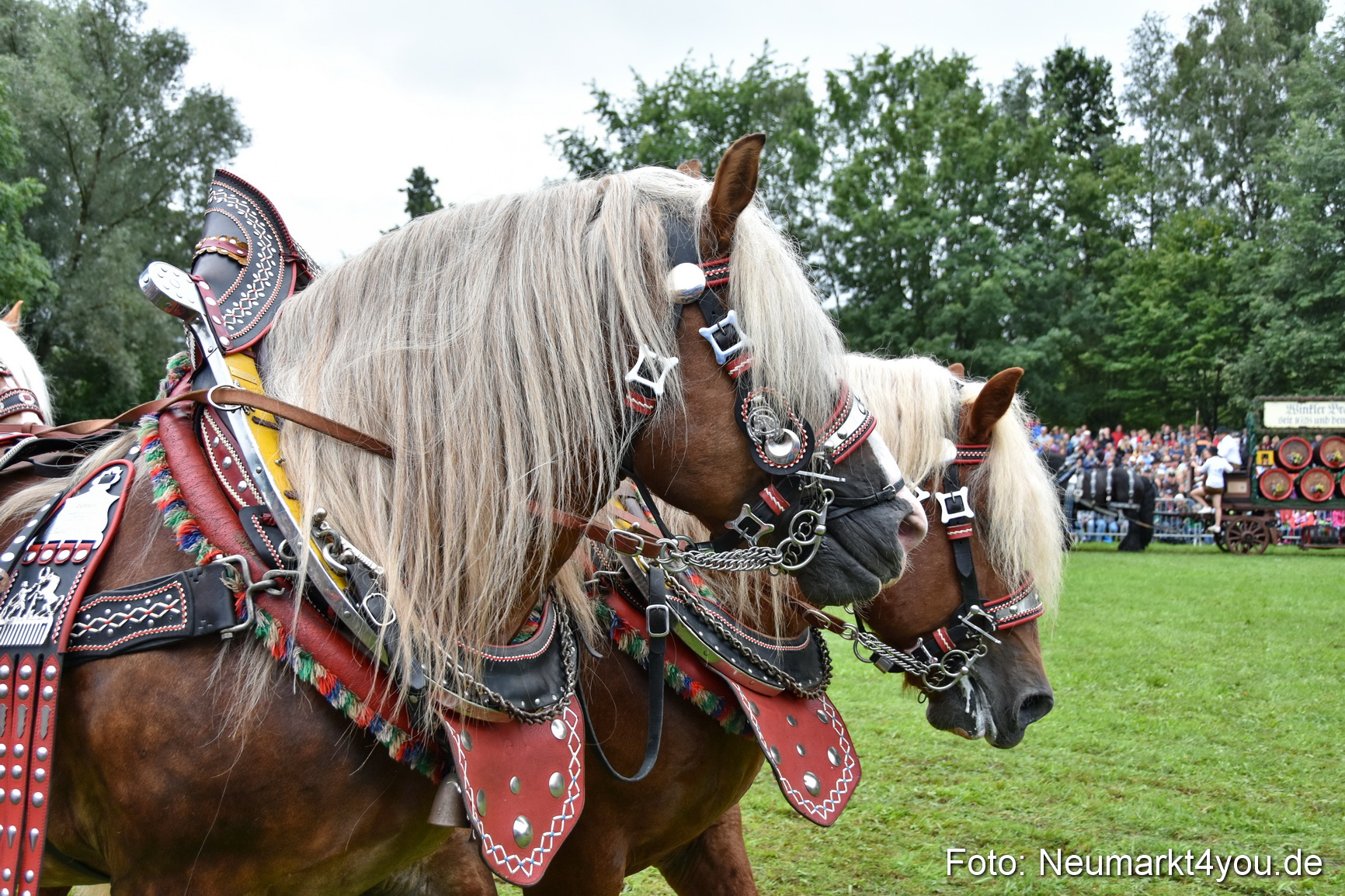 JURA Volksfest Pferdeshow 190819 0087