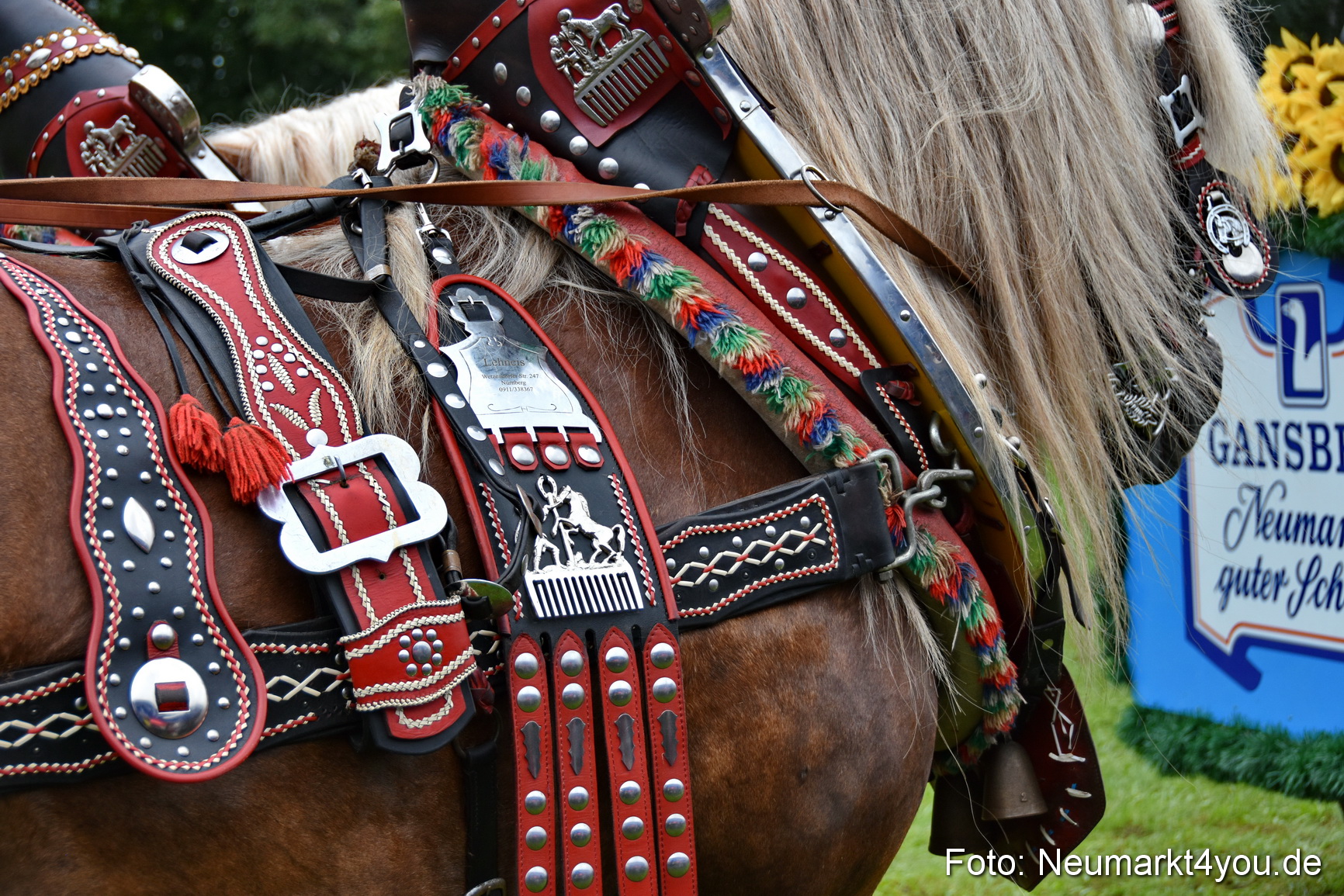 JURA Volksfest Pferdeshow 190819 0088