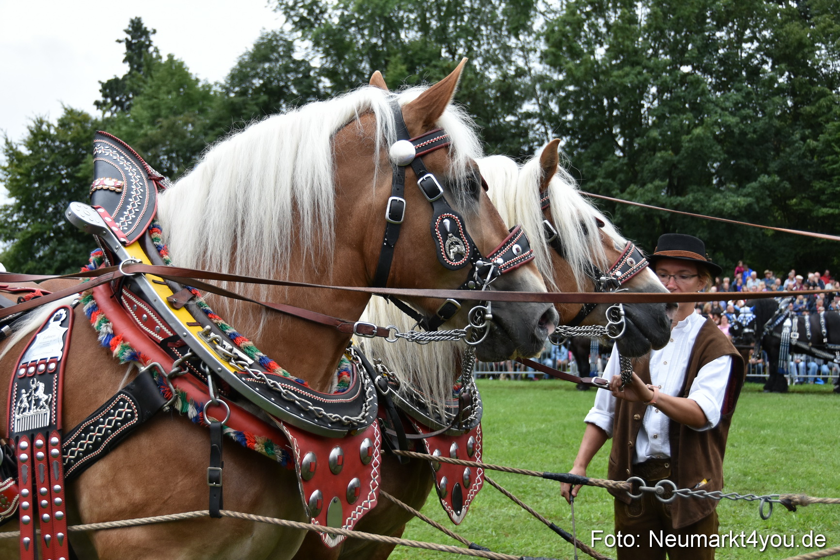 JURA Volksfest Pferdeshow 190819 0089