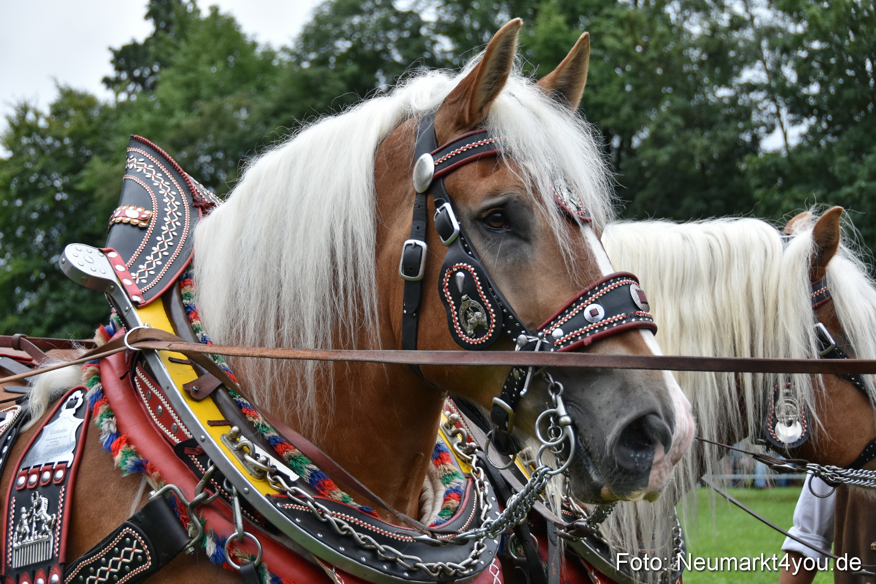 JURA Volksfest Pferdeshow 190819 0091