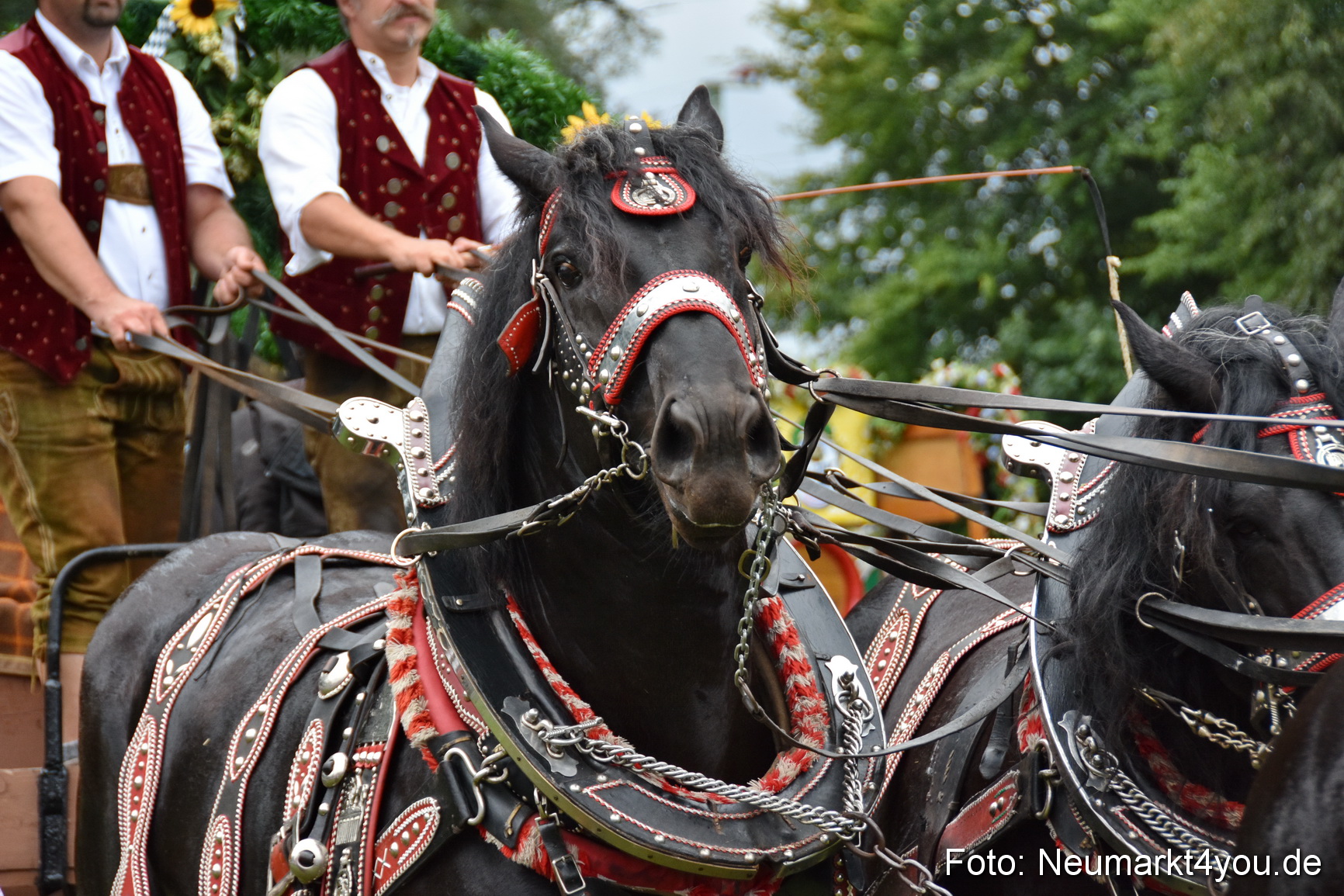JURA Volksfest Pferdeshow 190819 0096