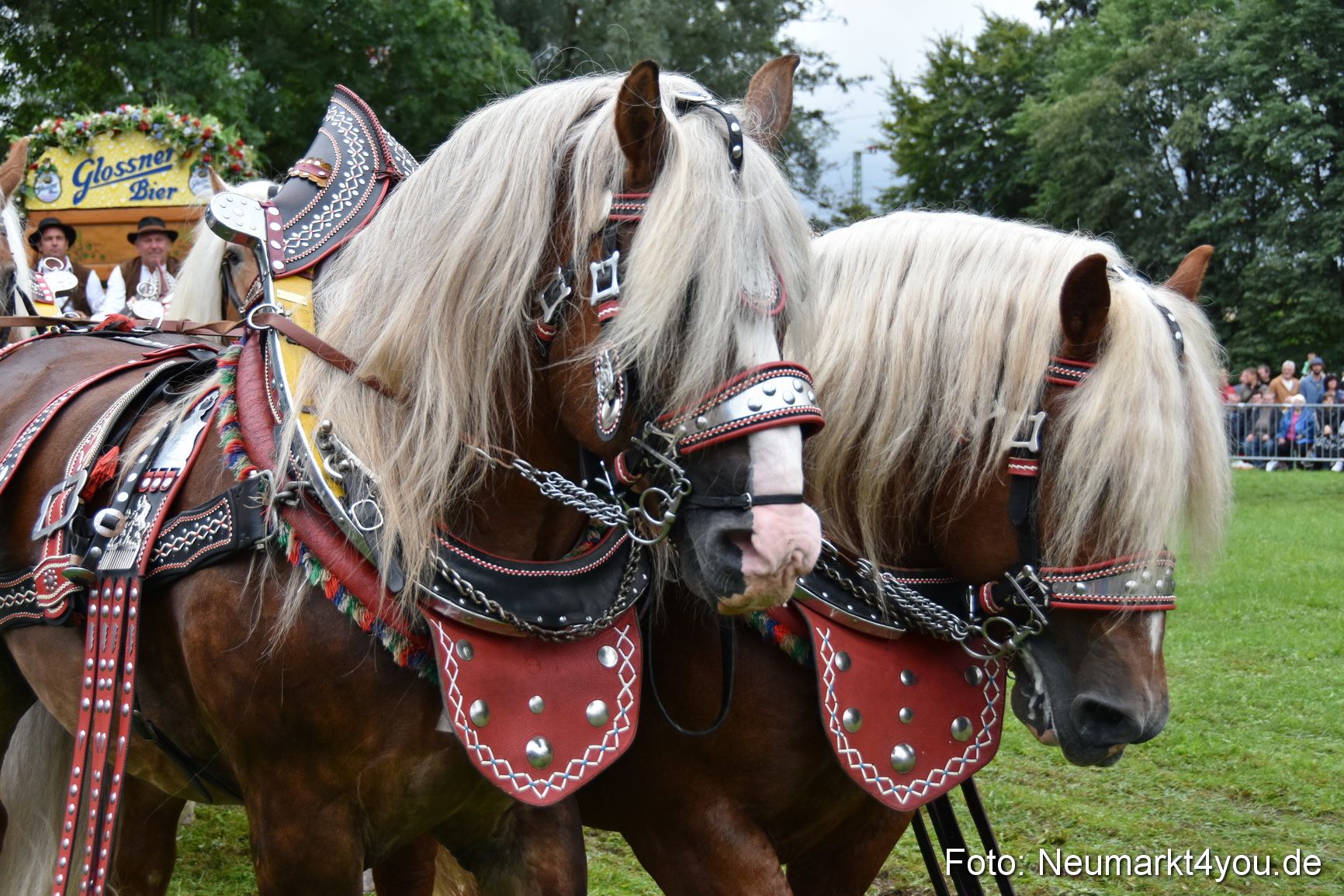 JURA Volksfest Pferdeshow 190819 0097
