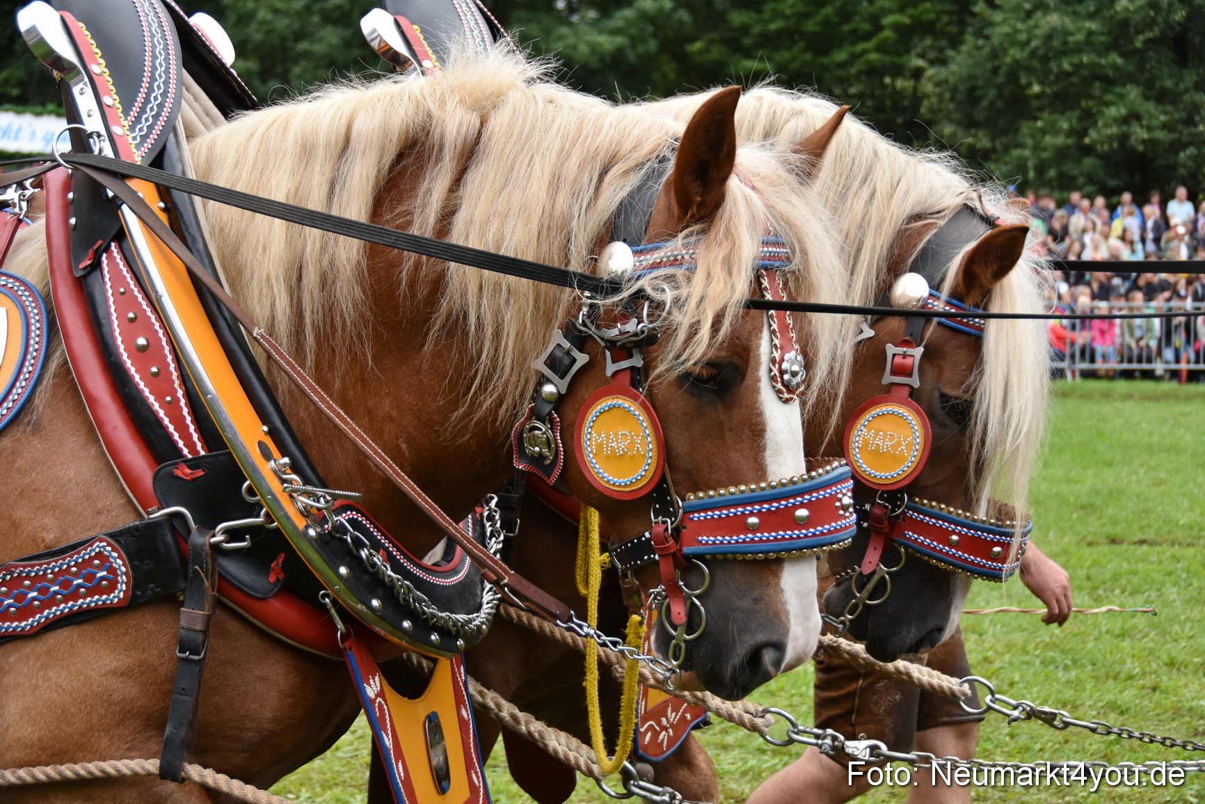 JURA Volksfest Pferdeshow 190819 0099