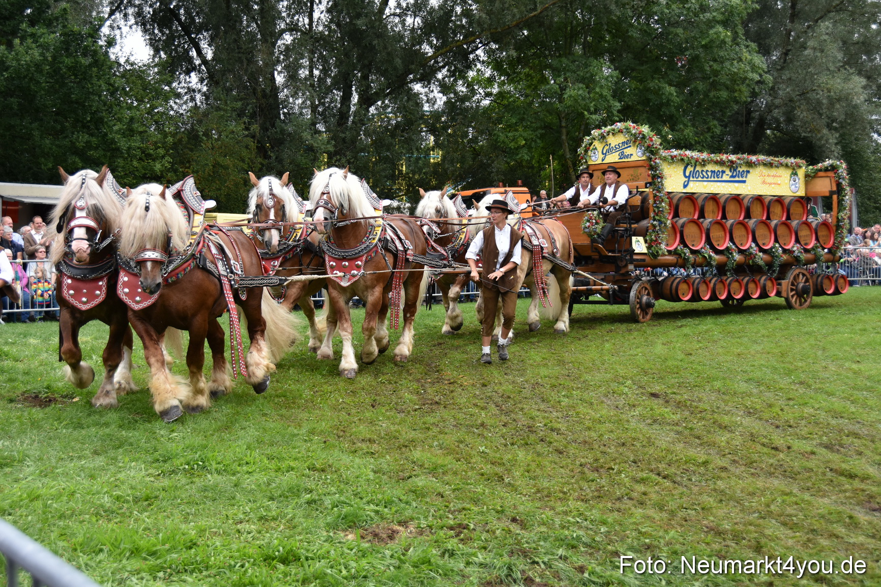 JURA Volksfest Pferdeshow 190819 0102