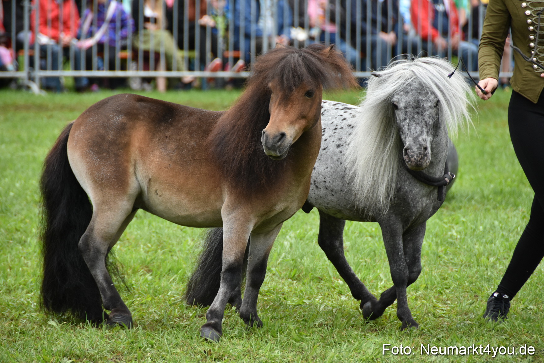 JURA Volksfest Pferdeshow 190819 0107