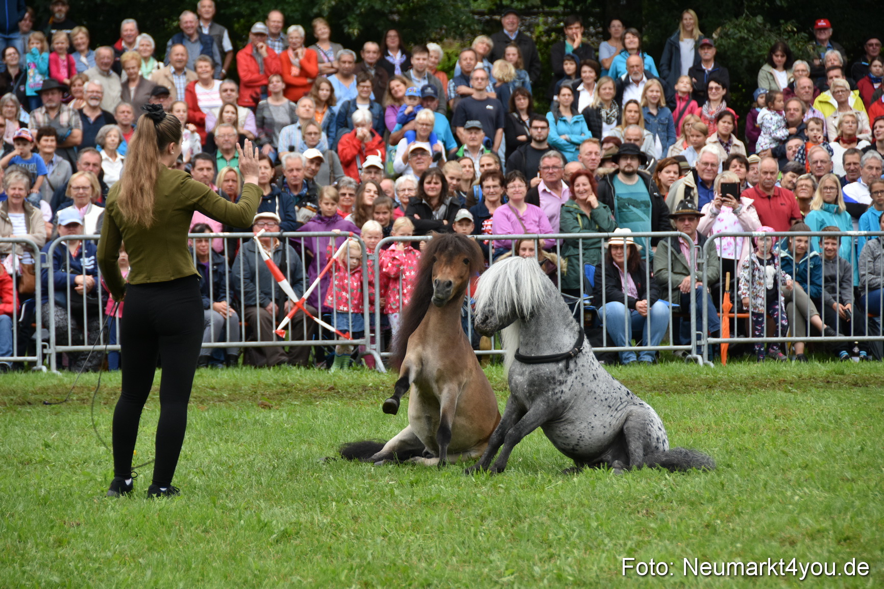 JURA Volksfest Pferdeshow 190819 0109