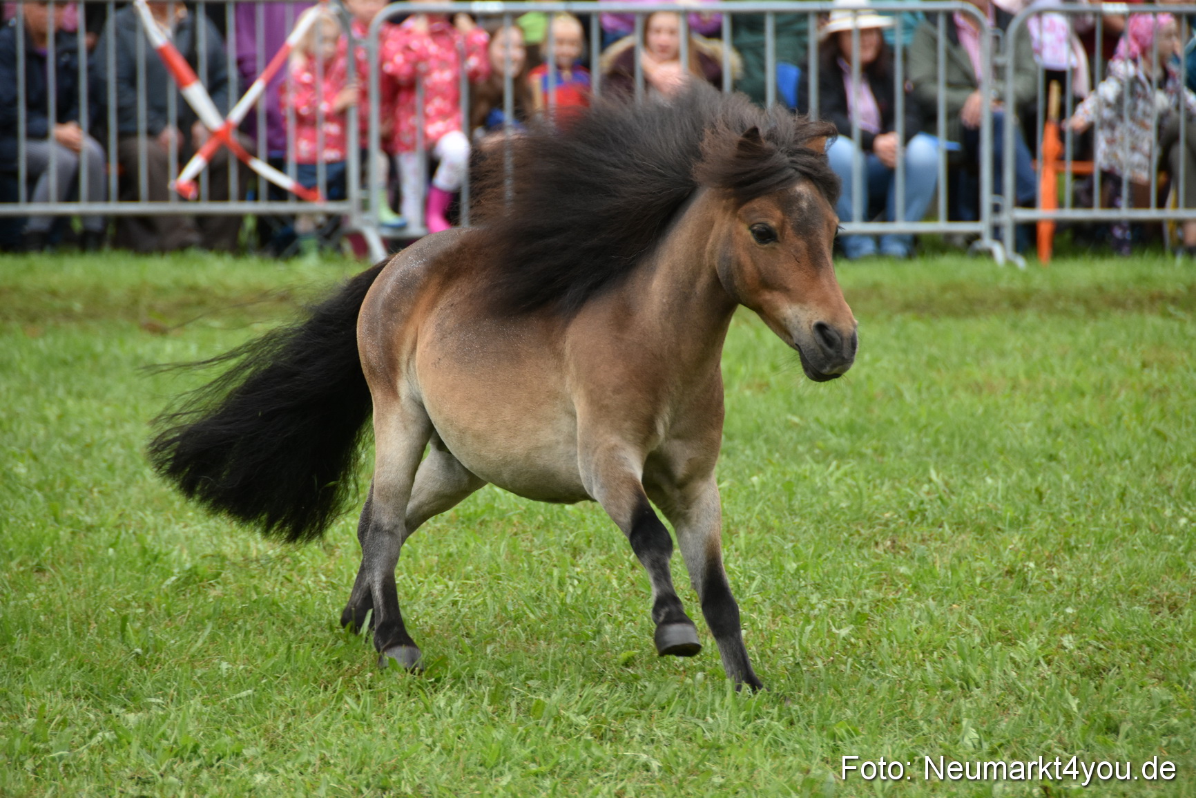 JURA Volksfest Pferdeshow 190819 0110