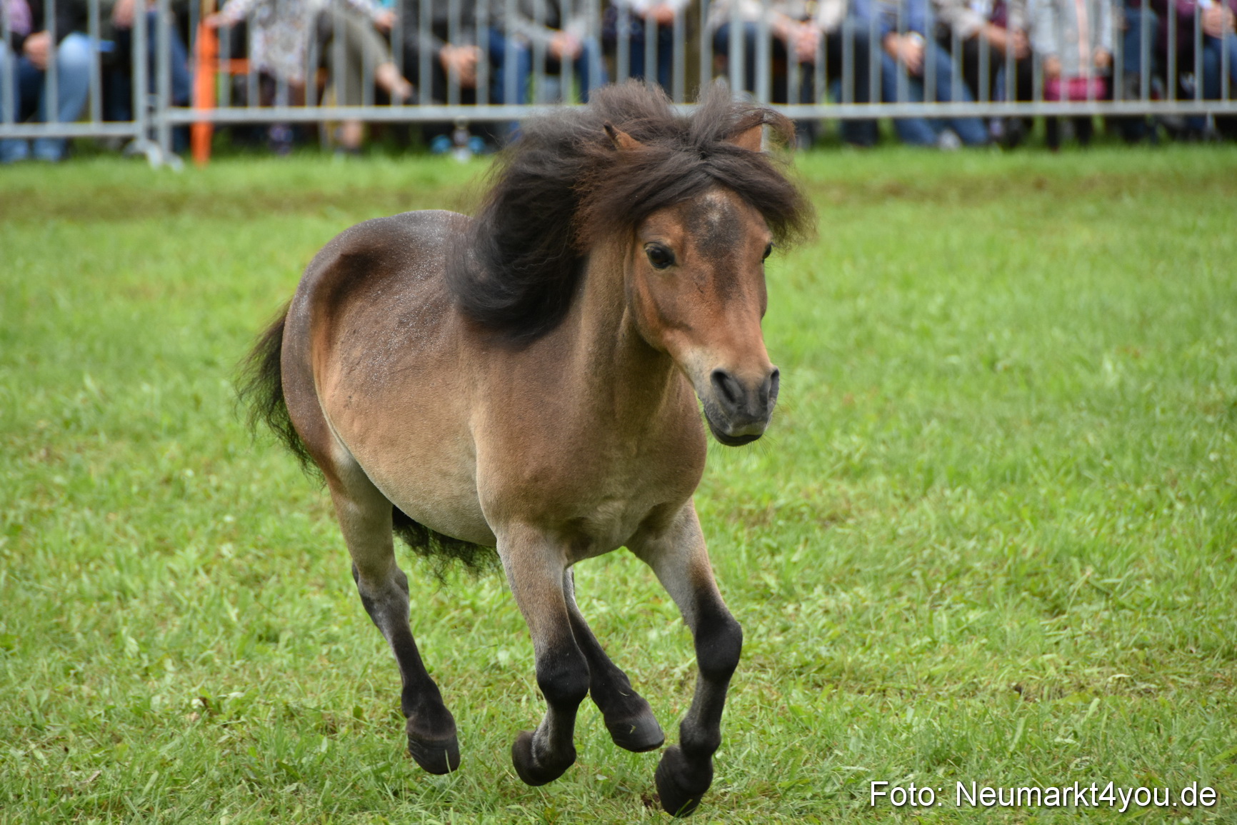 JURA Volksfest Pferdeshow 190819 0111