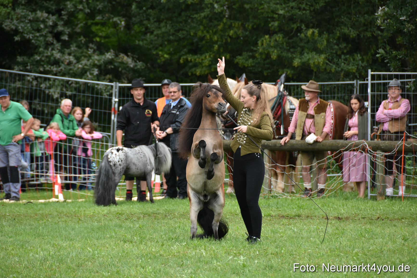 JURA Volksfest Pferdeshow 190819 0112