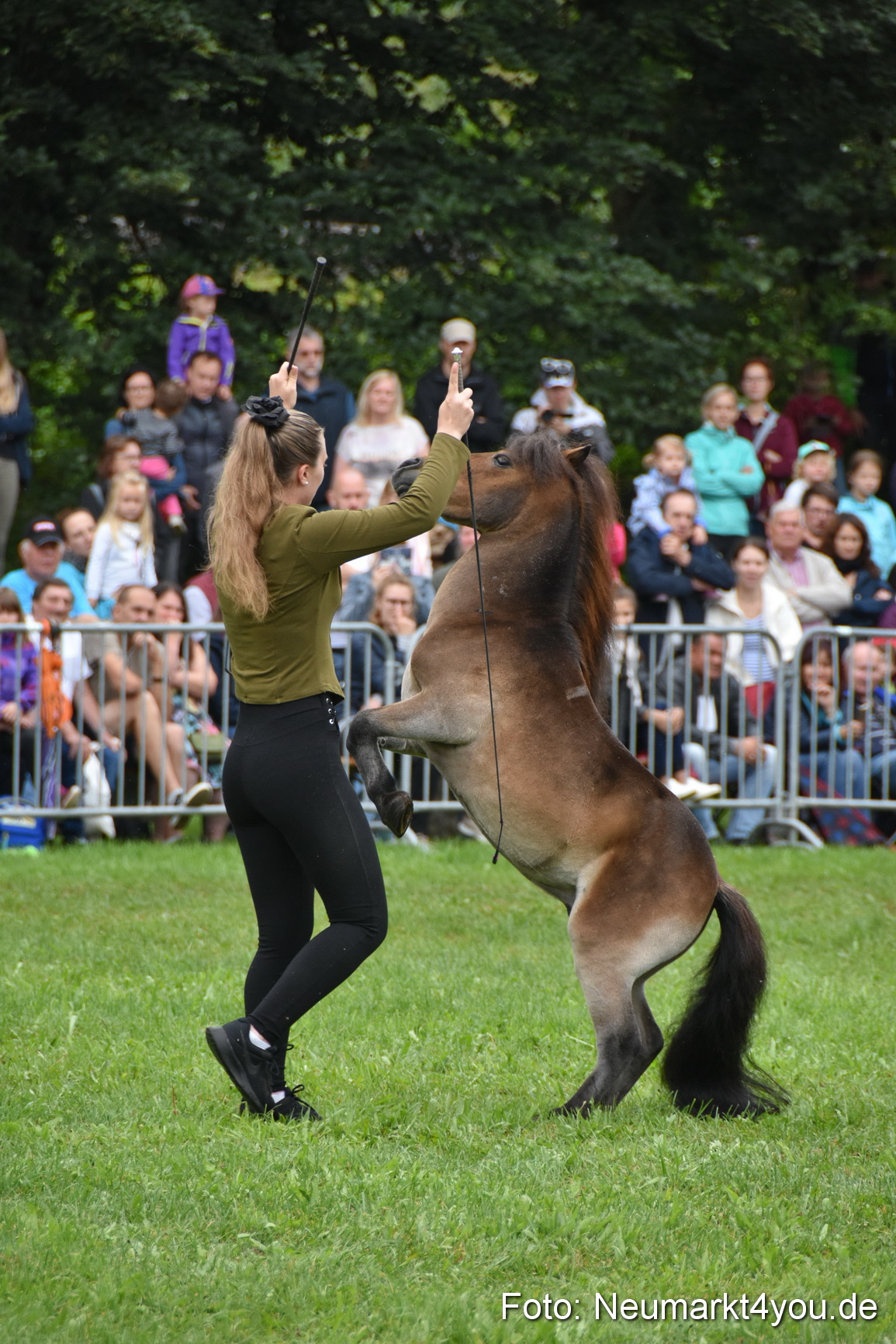 JURA Volksfest Pferdeshow 190819 0113