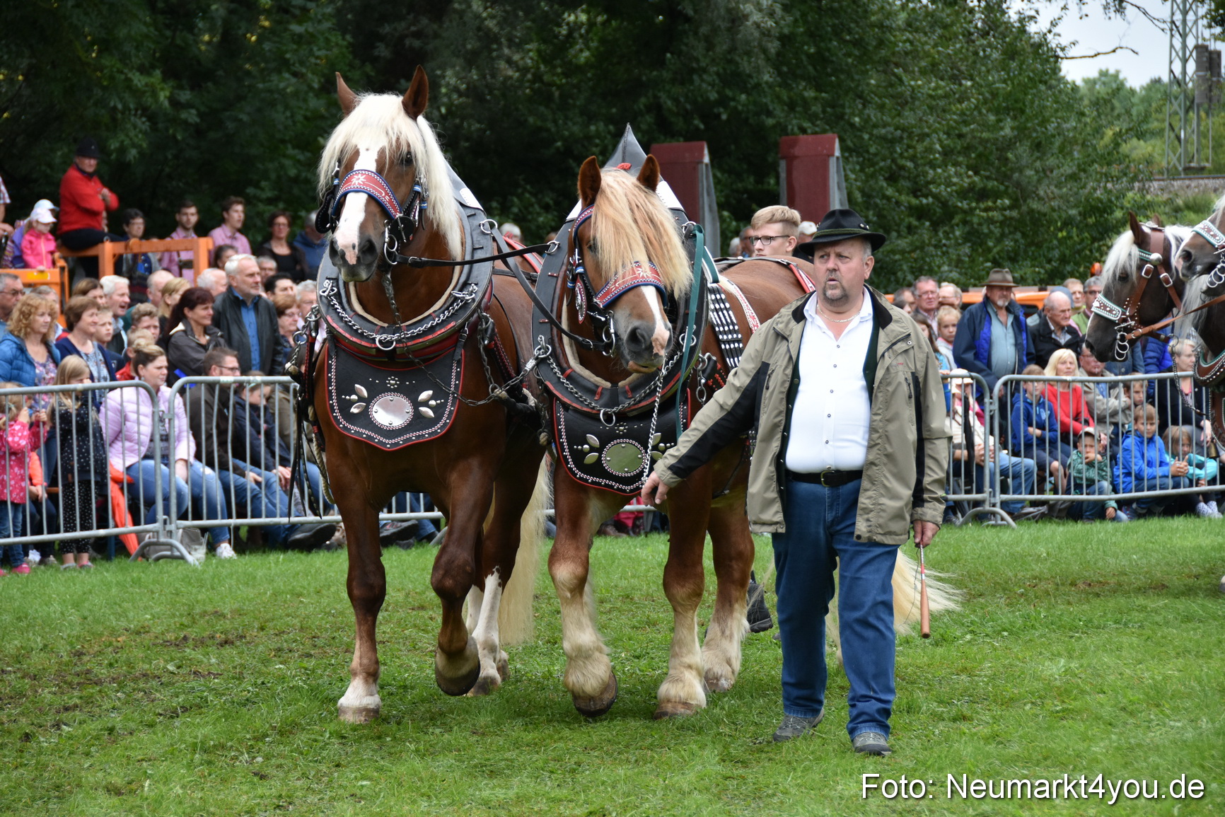 JURA Volksfest Pferdeshow 190819 0117