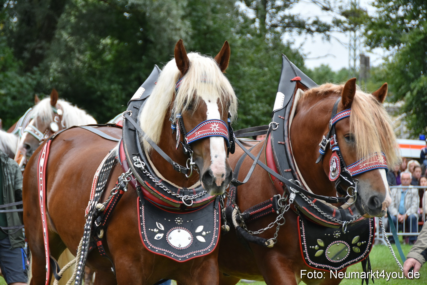 JURA Volksfest Pferdeshow 190819 0118