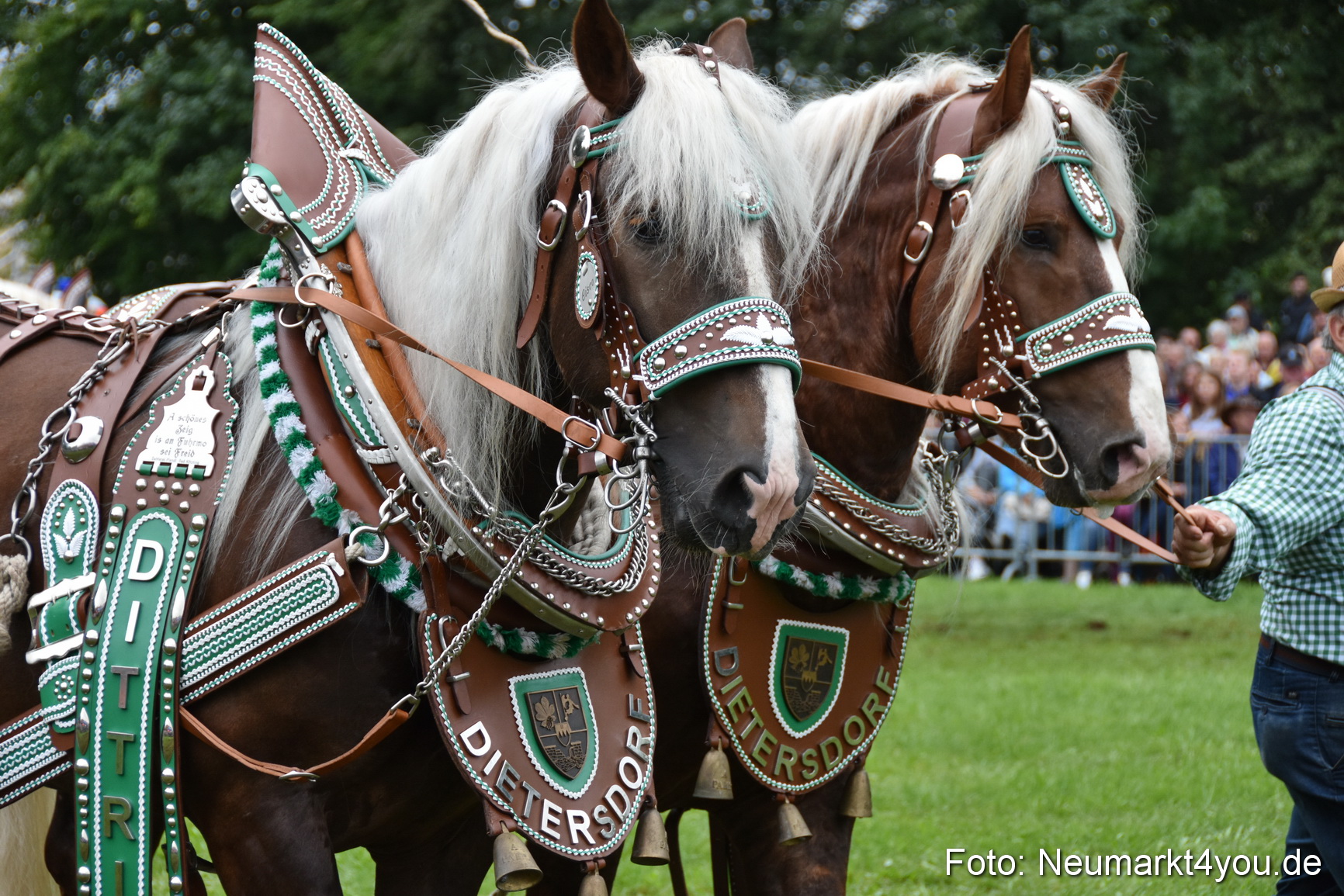 JURA Volksfest Pferdeshow 190819 0120