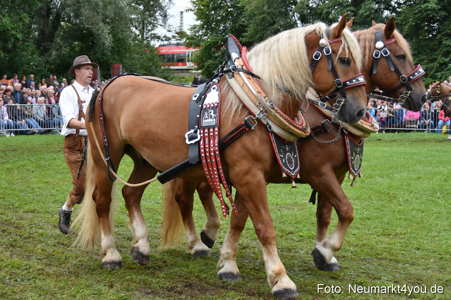 JURA Volksfest Pferdeshow 190819 0121