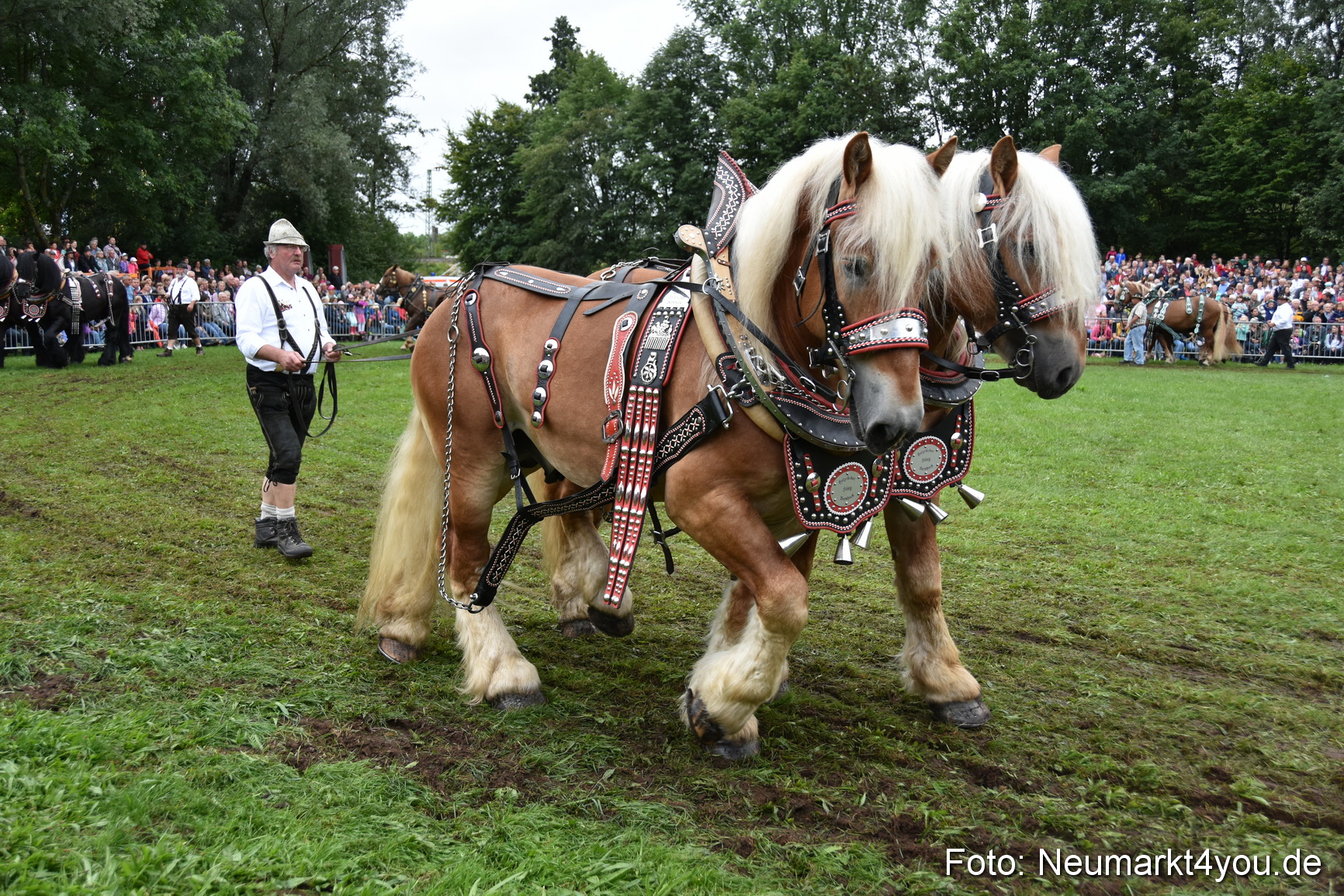 JURA Volksfest Pferdeshow 190819 0122