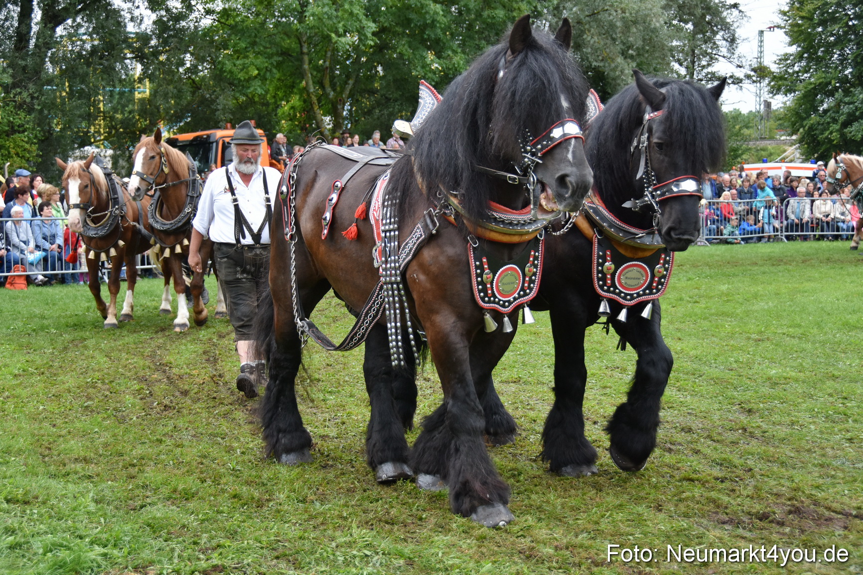 JURA Volksfest Pferdeshow 190819 0123