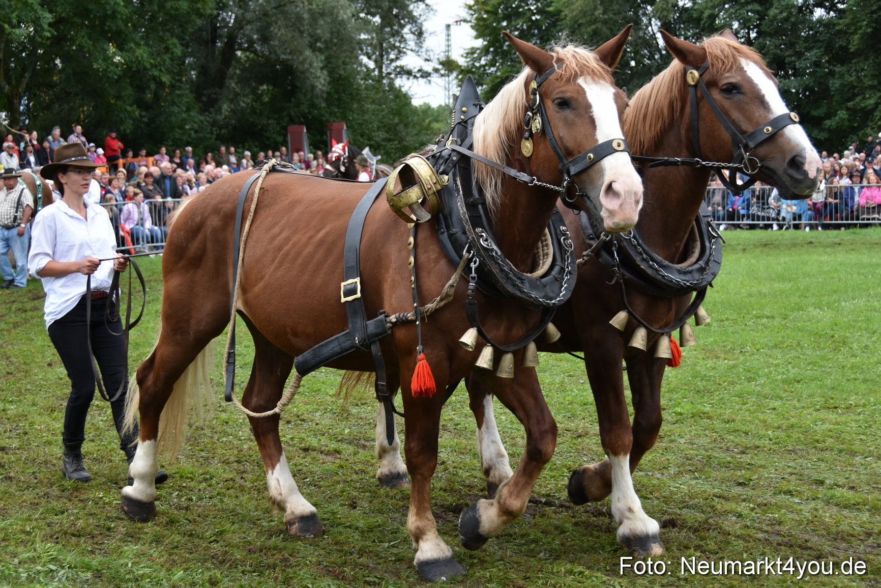 JURA Volksfest Pferdeshow 190819 0124
