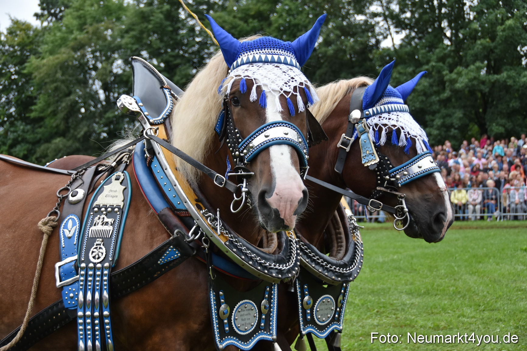 JURA Volksfest Pferdeshow 190819 0127