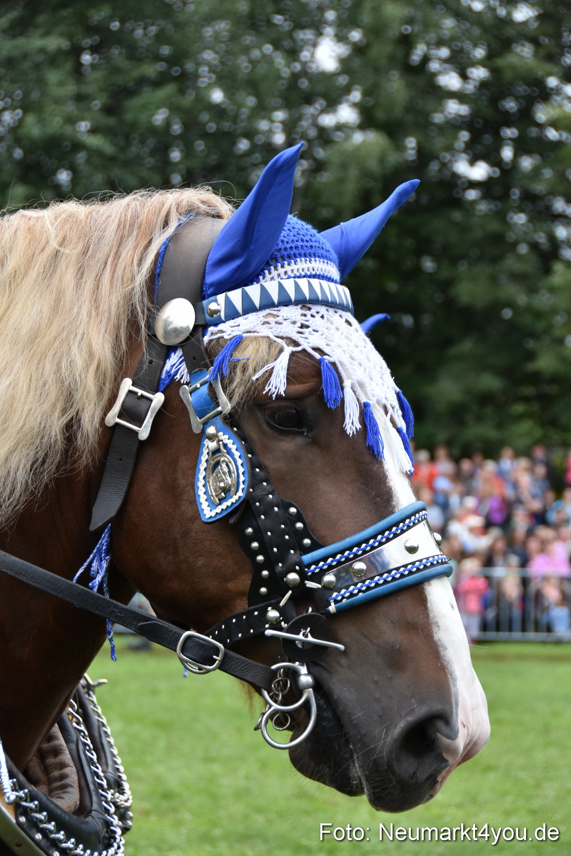 JURA Volksfest Pferdeshow 190819 0128