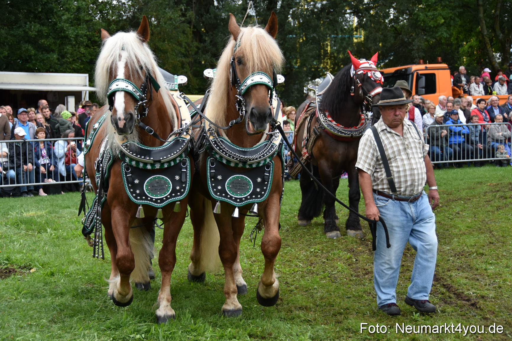 JURA Volksfest Pferdeshow 190819 0129