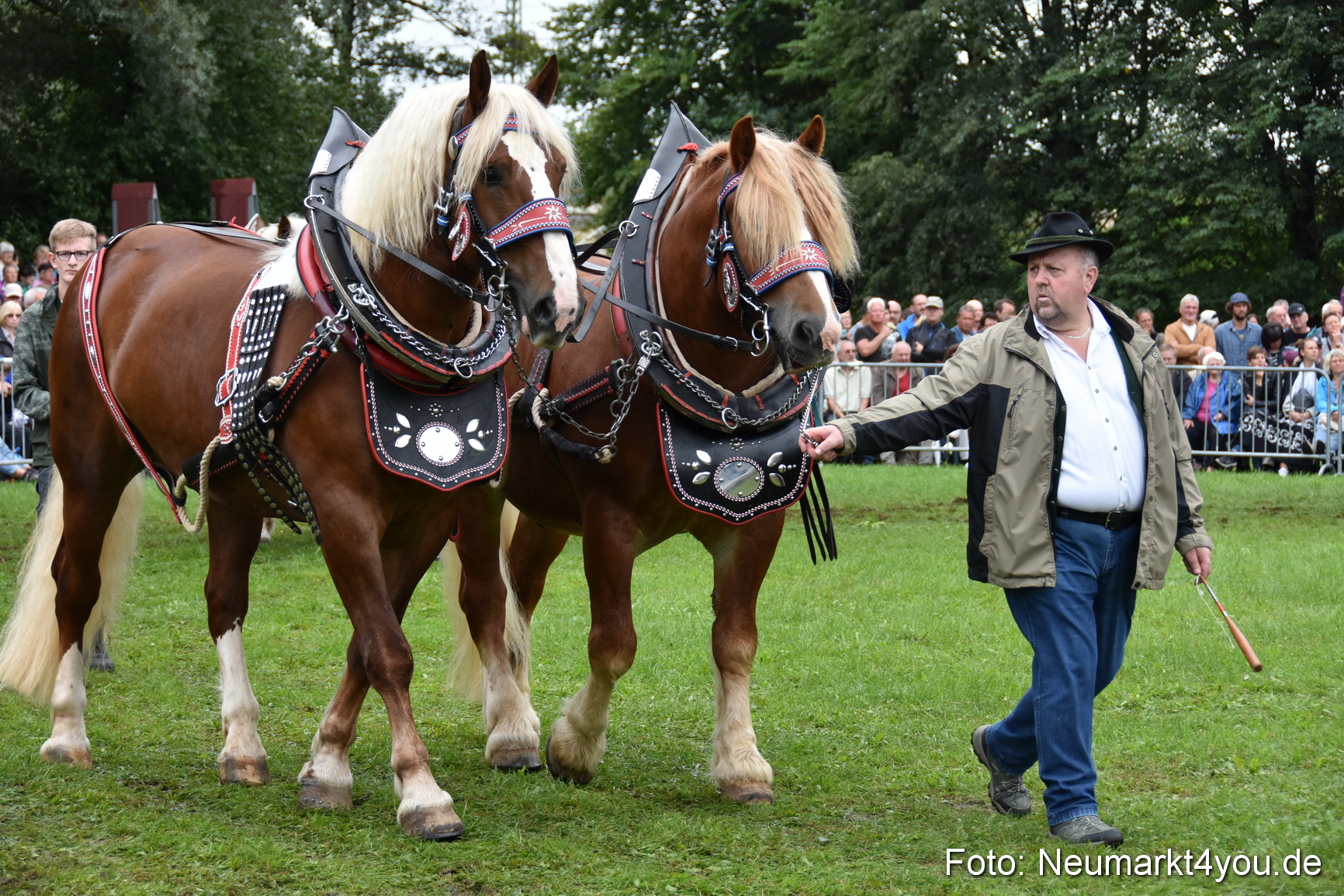 JURA Volksfest Pferdeshow 190819 0130