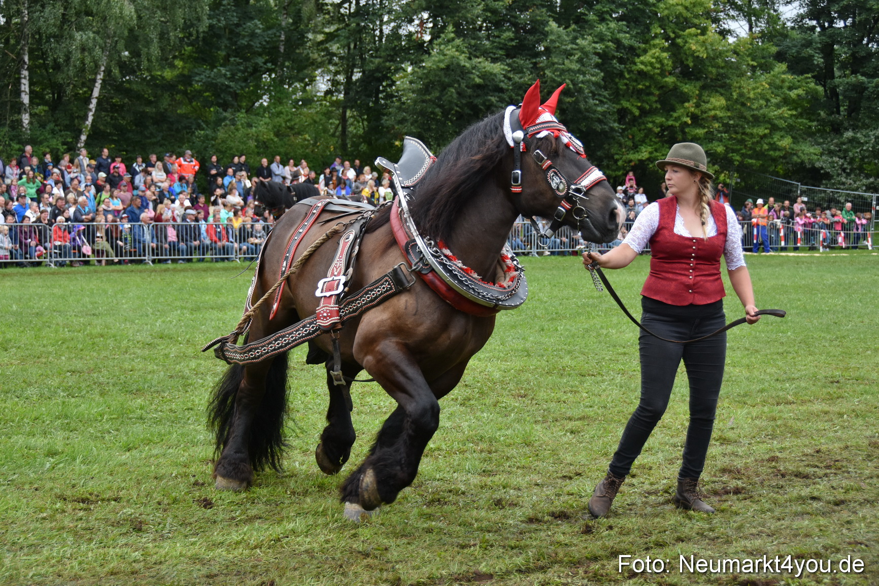 JURA Volksfest Pferdeshow 190819 0131