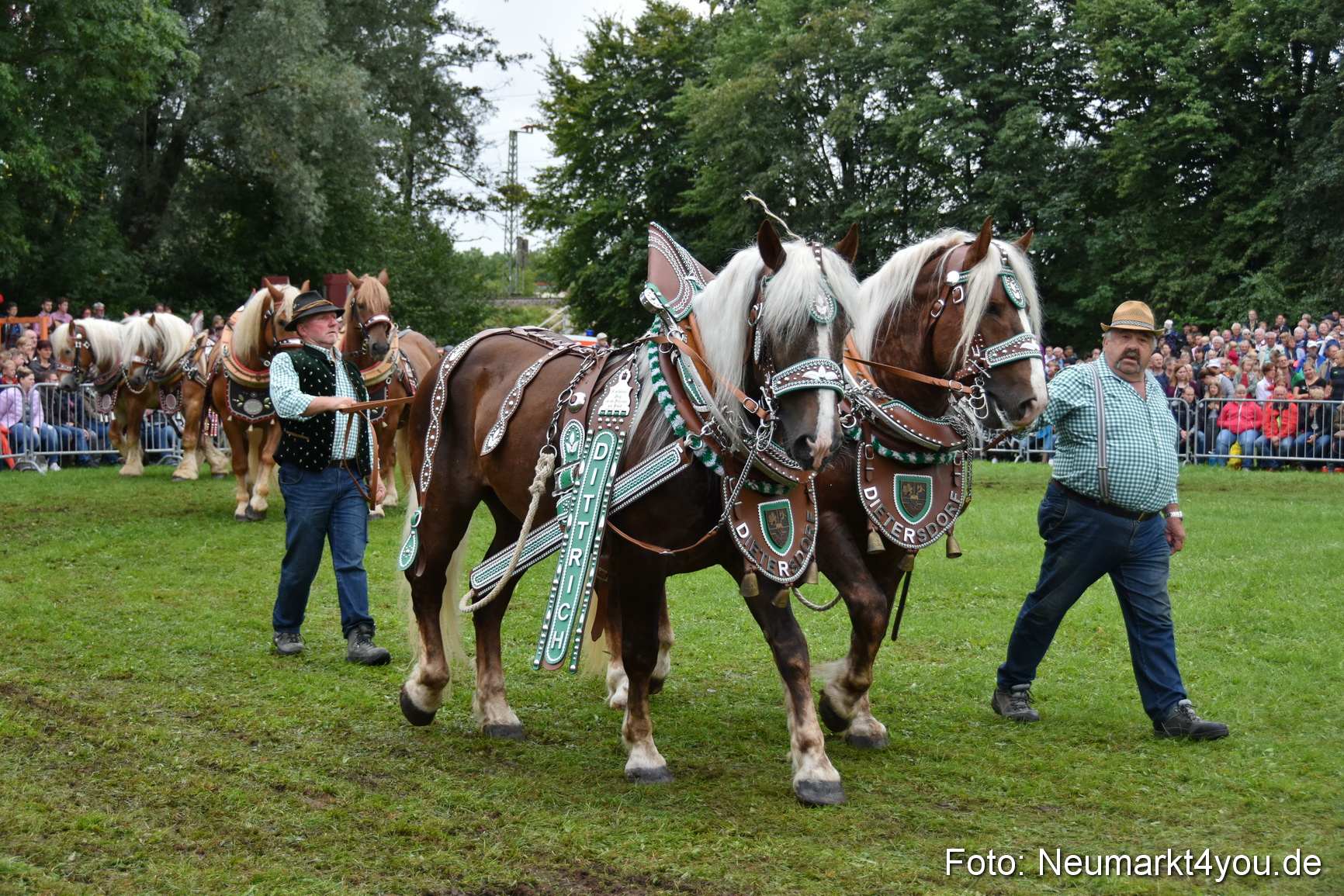 JURA Volksfest Pferdeshow 190819 0132