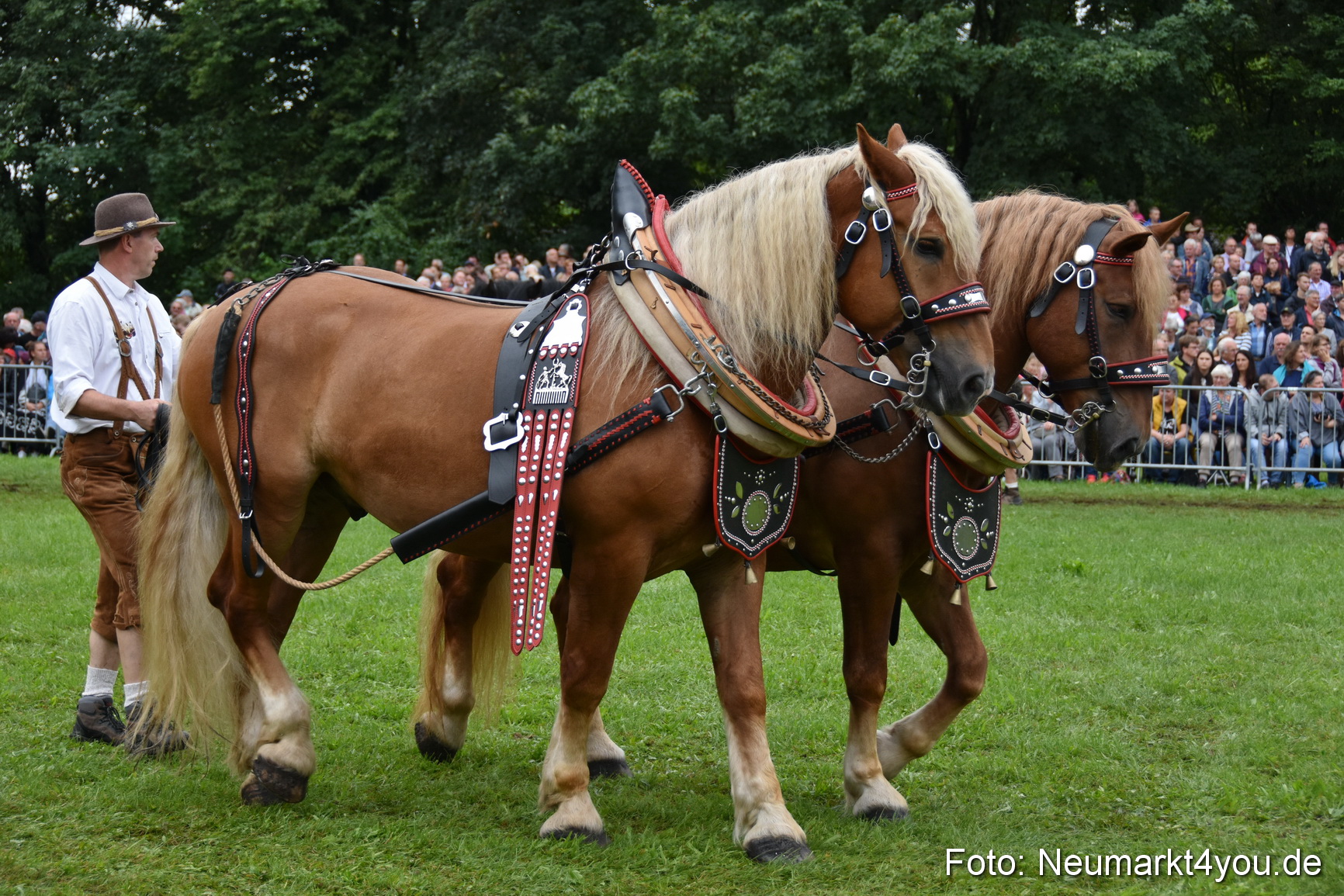 JURA Volksfest Pferdeshow 190819 0133
