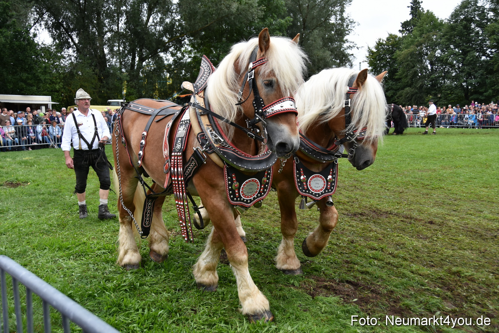 JURA Volksfest Pferdeshow 190819 0134