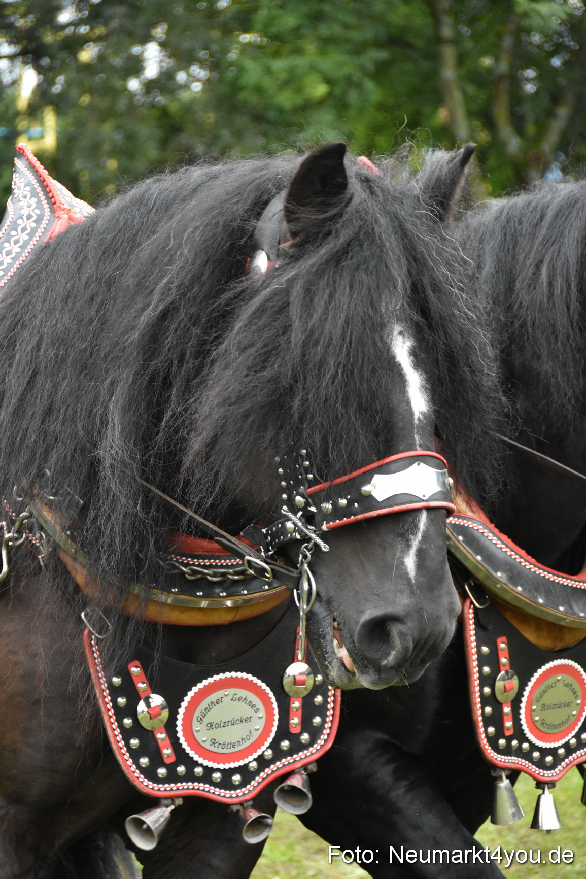 JURA Volksfest Pferdeshow 190819 0135