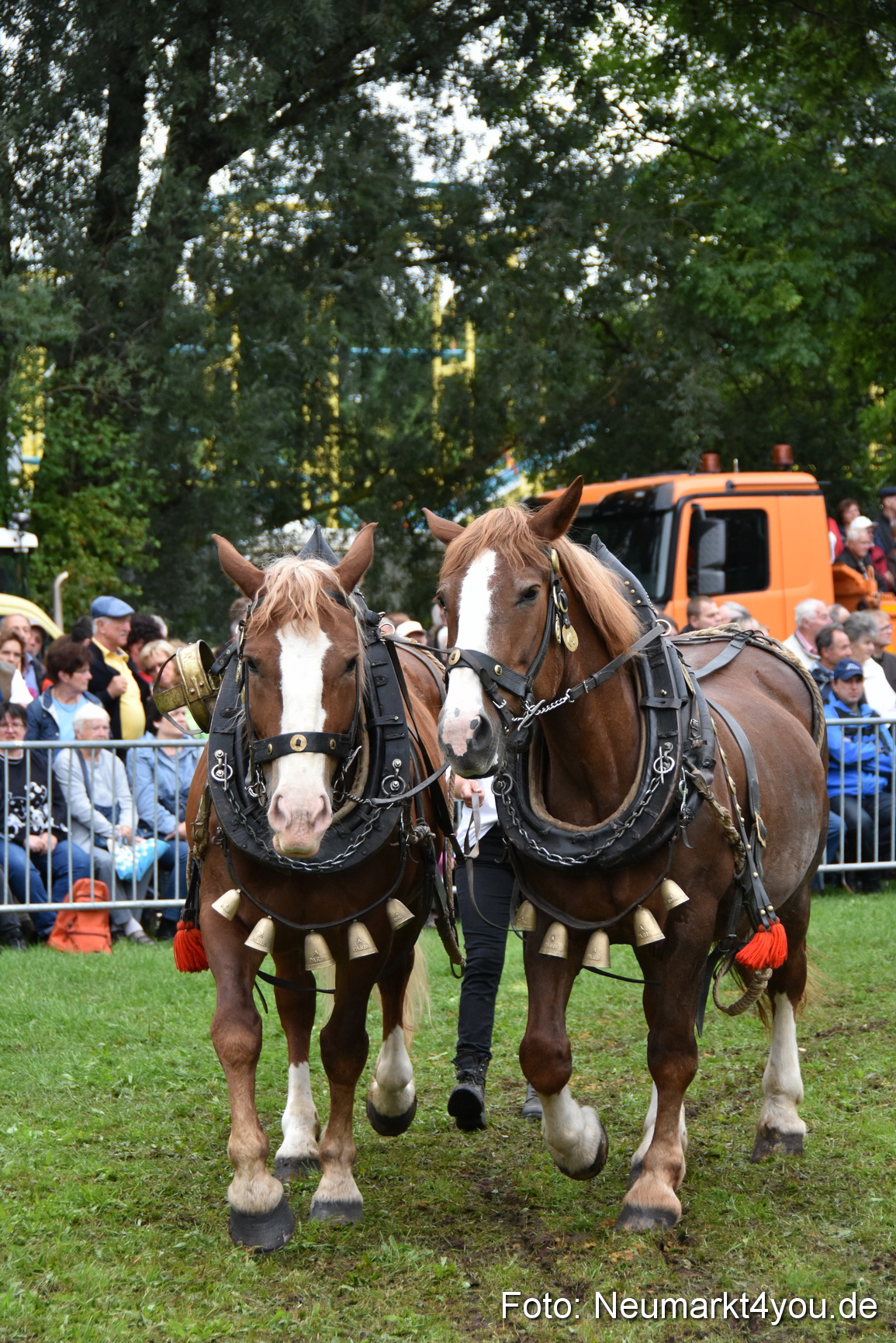 JURA Volksfest Pferdeshow 190819 0136