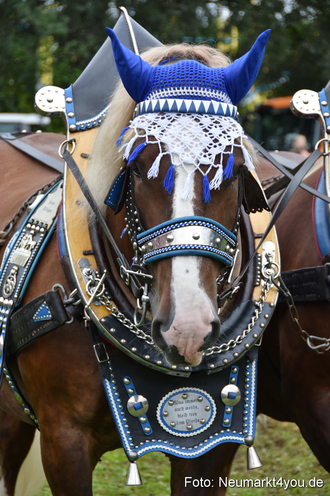 JURA Volksfest Pferdeshow 190819 0138