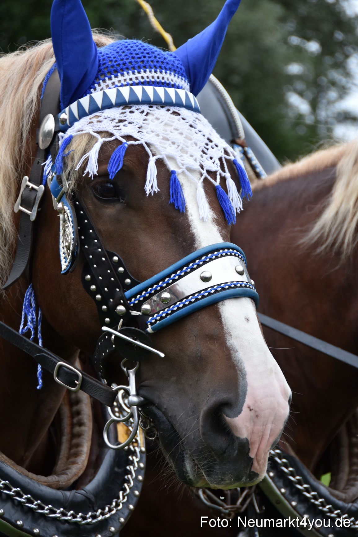 JURA Volksfest Pferdeshow 190819 0139