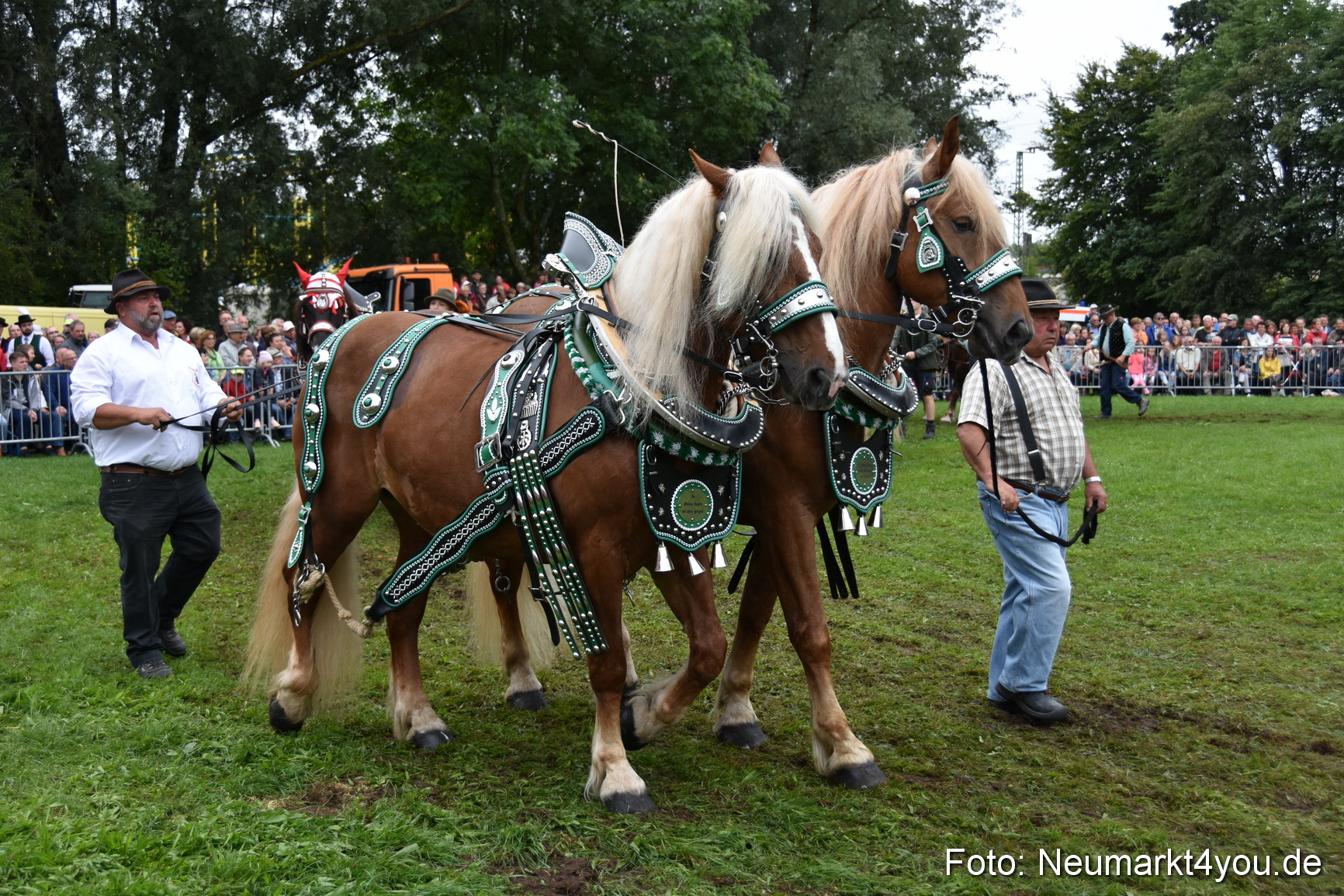 JURA Volksfest Pferdeshow 190819 0140