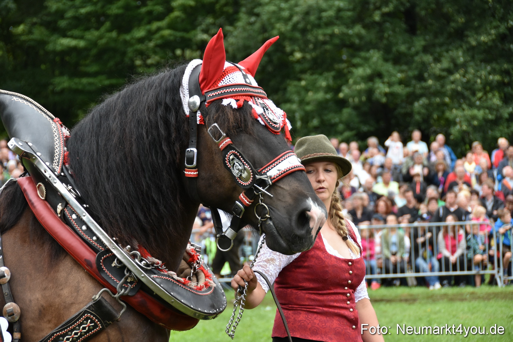 JURA Volksfest Pferdeshow 190819 0141