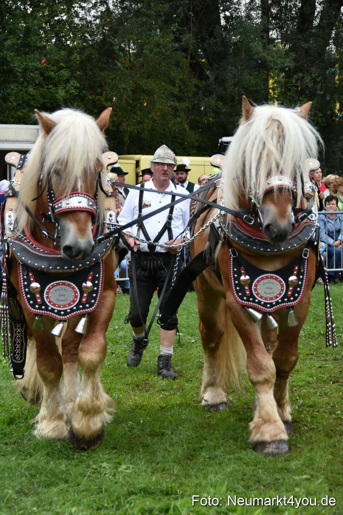 JURA Volksfest Pferdeshow 190819 0142
