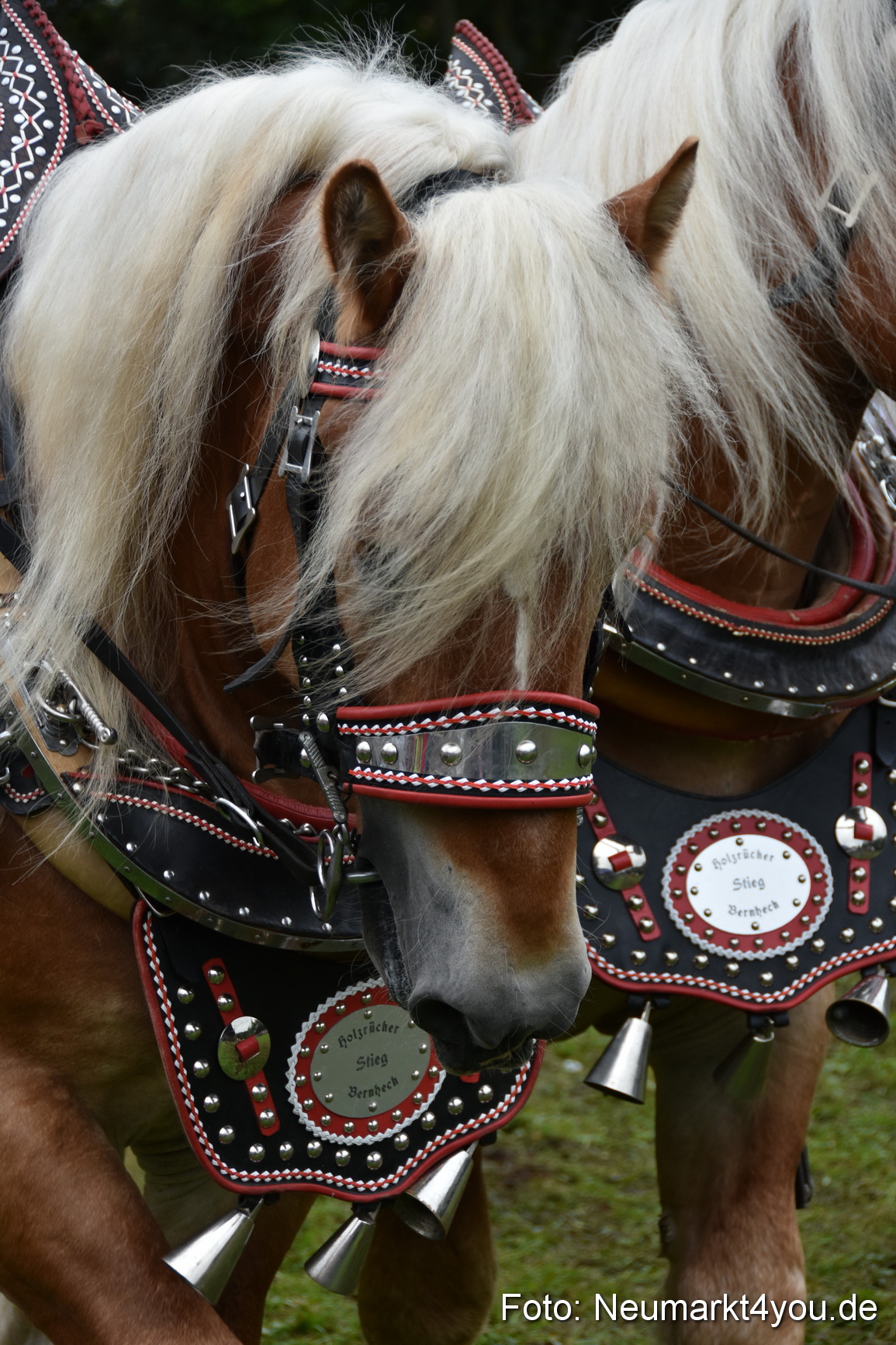 JURA Volksfest Pferdeshow 190819 0143